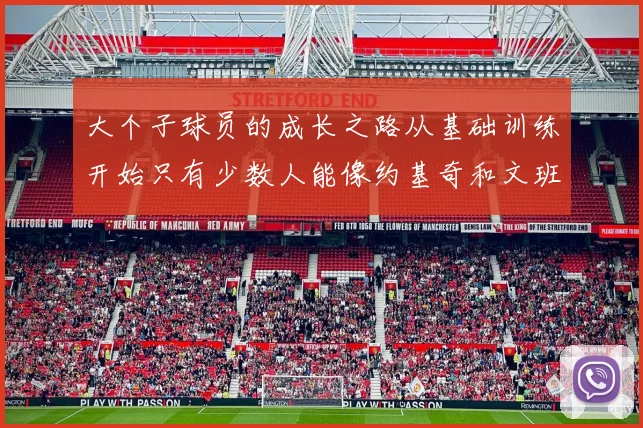 大个子球员的成长之路从基础训练开始只有少数人能像约基奇和文班那样成功